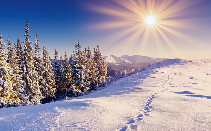 Vinter, snö, skog, stigar, berg, himmel, sol, vinter, snö, skog, spår, berg, himmel, sol, HD tapet