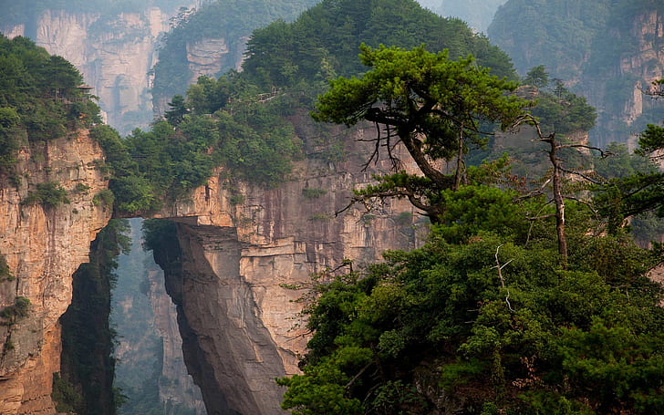 zhangjiajie nationalpark, HD tapet