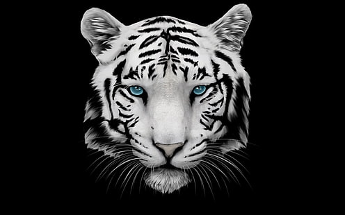 weißer Tiger Tapete, Weiß, Schnurrbart, Gesicht, Tiger, Kopf, HD-Hintergrundbild HD wallpaper