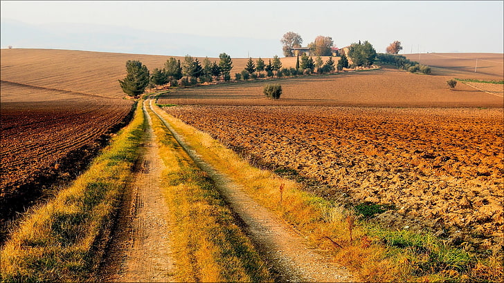 скалист път между зелена трева през деня, природа, пейзаж, поле, път, черен път, дървета, Тоскана, HD тапет