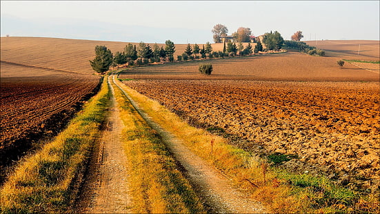 скалист път между зелена трева през деня, природа, пейзаж, поле, път, черен път, дървета, Тоскана, HD тапет HD wallpaper
