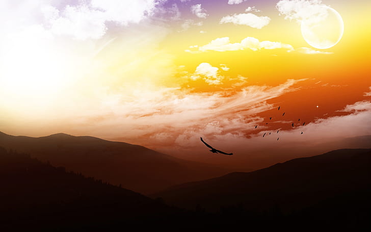 Beautiful CG Nature, siluet foto elang hitam, cantik, alam, Wallpaper HD