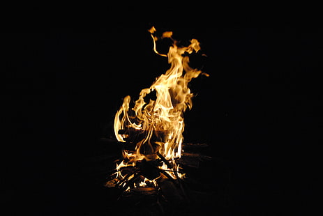 fuoco, notte, legna, ardente, Sfondo HD HD wallpaper