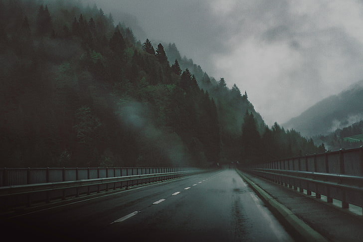 strada asfaltata nera, strada, autostrada, alberi, nebbia, Sfondo HD