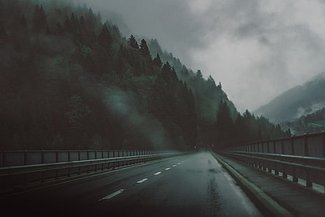 черная асфальтовая дорога, дорога, шоссе, деревья, туман, HD обои HD wallpaper
