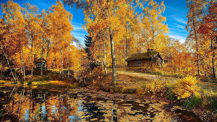 braunes Holzhaus, Natur, HD-Hintergrundbild