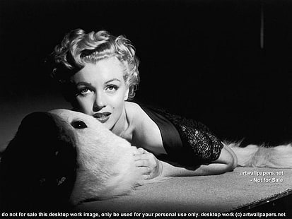 Marilyn Monroe Immagini poster, Marilyn Monroe, Marilyn Monroe, celebrità, celebrità, hollywood, Marilyn, Monroe, poster, immagini, Sfondo HD HD wallpaper