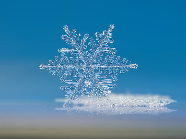 makrofotografering av snöflinga, snöflinga, makrofotografering, vinter, jul, blå, snö, bakgrunder, frost, is, säsong, frusen, abstrakt, HD tapet