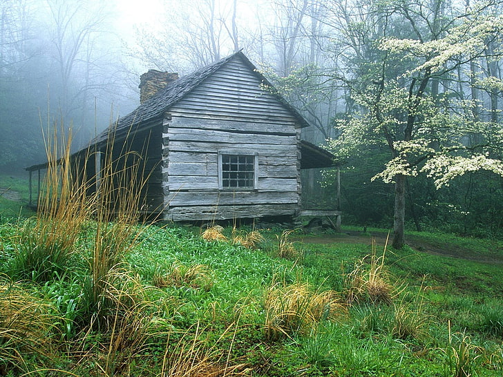 серый деревянный дом, домик, лес, туман, дача, деревянный дом, HD обои