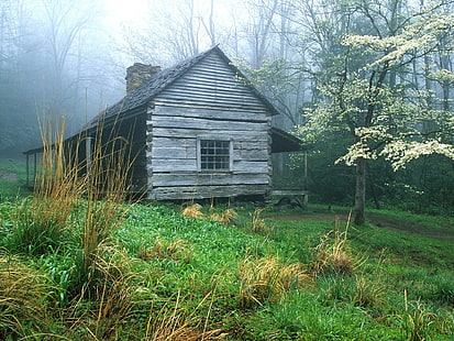 серый деревянный дом, домик, лес, туман, дача, деревянный дом, HD обои HD wallpaper