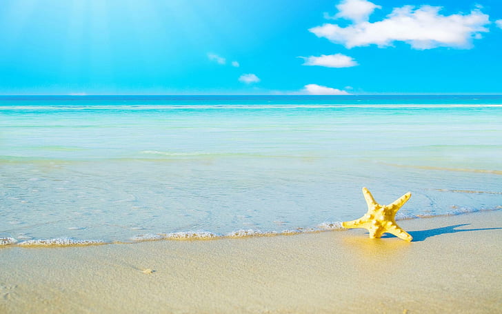 морская звезда, песок, пляж, море, пена, пейзаж, морская звезда, песок, пляж, пена, пейзаж, HD обои