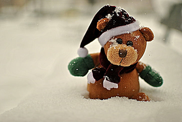 Holiday, Christmas, Bear, Santa Hat, Teddy Bear, HD wallpaper |  Wallpaperbetter