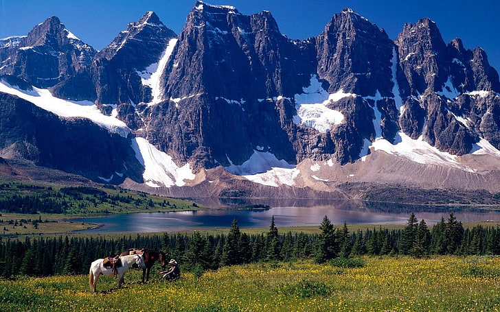 best nature scenery  for desktop 1920x1200, HD wallpaper