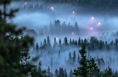 Извилистая горная дорога, Туман, Хвойный лес, Природа, Леса, Огни, Пейзаж, Лес, Туман, Дорога, Леса, Финляндия, Извилистая, Таинственный, туман, Дымка, извилистая, HD обои HD wallpaper