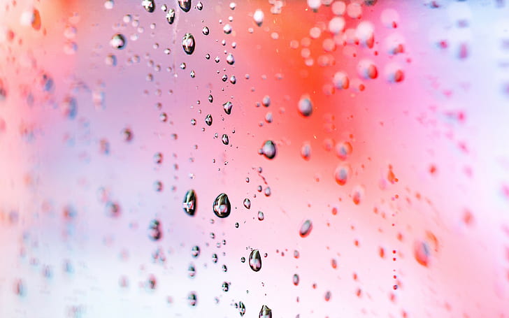 rain, macro, Droplets, 4k, 8k, HD, wallappers, abstract, HD wallpaper