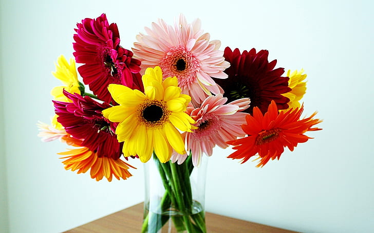 Vase, bouquet, chrysanthemum, Vase, Bouquet, Chrysanthemum, HD wallpaper