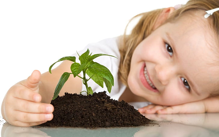 Cute Baby Girl Plant, zielona roślina liściasta, słodka, dziewczynka, niemowlę, roślina, Tapety HD