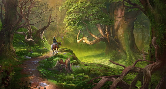 lost woods from The Legend of Zelda, The Legend of Zelda, Link, Lost Woods, HD wallpaper HD wallpaper