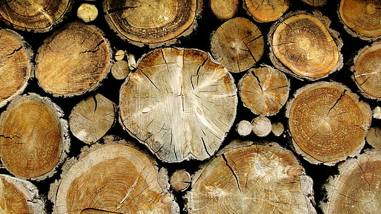 trä, trä, närbild, träyta, textur, HD tapet HD wallpaper