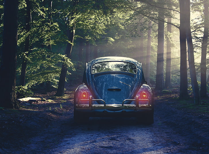 Volkswagen Beetle bleu coupé, voiture, rétro, forêt, brouillard, Fond d'écran HD