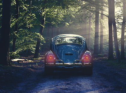 Volkswagen Beetle bleu coupé, voiture, rétro, forêt, brouillard, Fond d'écran HD HD wallpaper