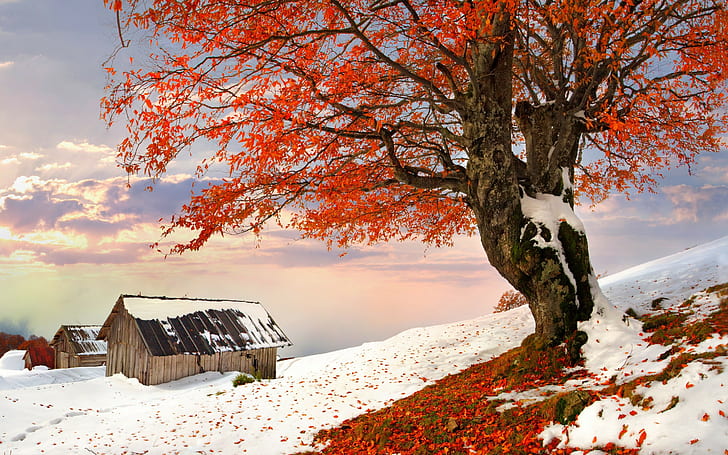 Готин пейзаж, природа, зима, небе, бяло, красиво, хладно, хубаво, пейзаж, природа, сняг, къща, залез, HD тапет