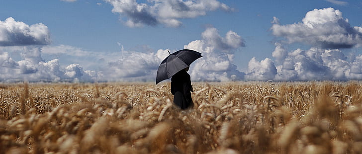 пшеница, поле, зонт, облака, небо, HD обои