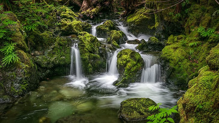 stream, stones, waterfall, moss, Canada, river, British Columbia, cascade, Vancouver Island, Nile Creek, Ручей Найл, HD wallpaper