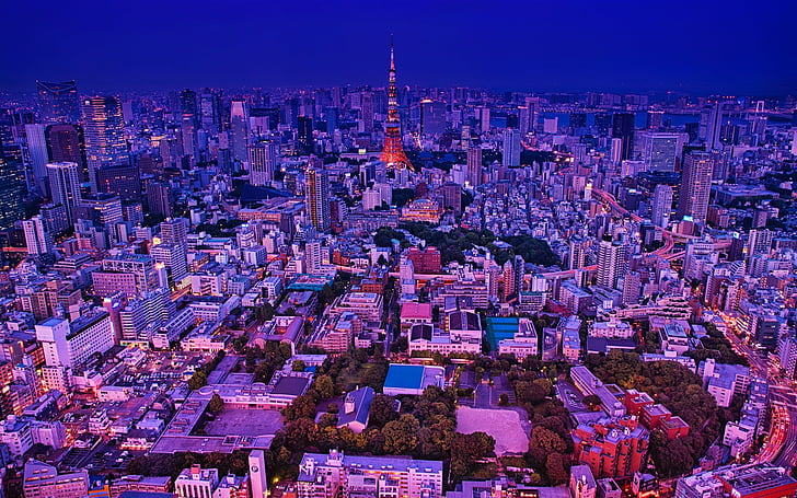 Cities, Tokyo, Building, City, Cityscape, Night, Skyscraper, HD wallpaper
