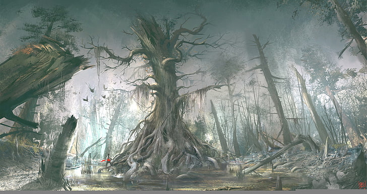 ป่าไม้, นักฆ่า, Assassin's Creed III, Connor Kenuey, Assassin's creed 3, วอลล์เปเปอร์ HD