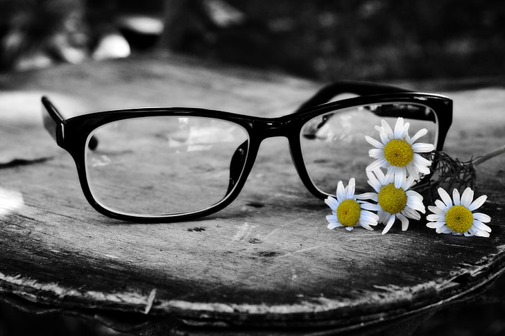 flowers glasses selective coloring 4608x3072  Nature Flowers HD Art , Flowers, glasses, HD wallpaper