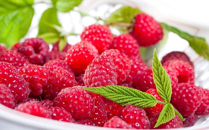 bunch of raspberries, raspberry, berry, delicious, ripe, HD wallpaper