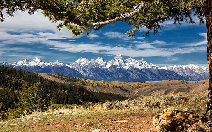alam, lanskap, pegunungan, hutan, puncak bersalju, Taman Nasional Grand Teton, awan, pohon, rumput, musim gugur, Wyoming, Wallpaper HD