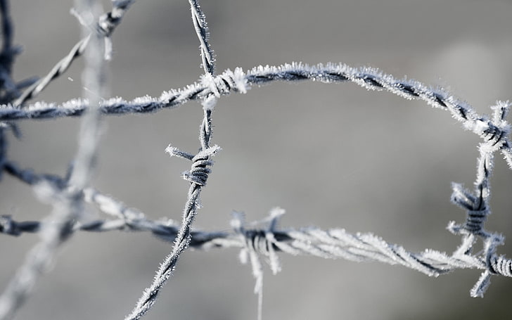 grey barbed wire, barbed wire, frost, metal, HD wallpaper