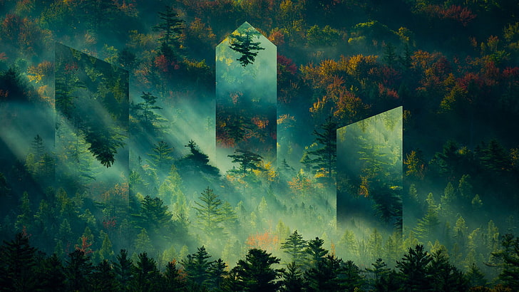 green trees digital wallpaper, mountains, forest, fall, green, trees, sunlight, HD wallpaper