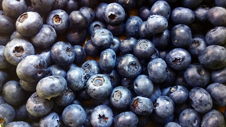 banyak blueberry, blueberry, beri, matang, memetik, panen, Wallpaper HD