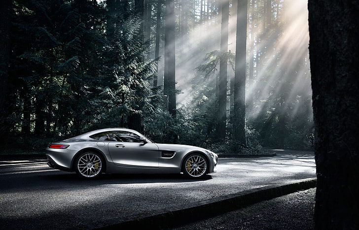 gray super car, Mercedes-Benz, Dark, AMG, Sun, Color, Side, Silver, Forest, 2016, GT S, HD wallpaper