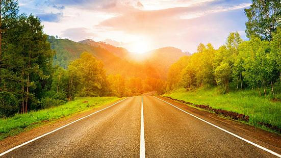 jalan, sinar matahari, sinar matahari, cerah, aspal, gunung, perjalanan, vegetasi, jalan hutan, hutan, Wallpaper HD HD wallpaper