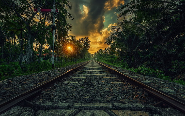 влак железопътен тапет, природа, пейзаж, железопътна линия, залез, палми, облаци, храсти, Шри Ланка, тропически, HD тапет