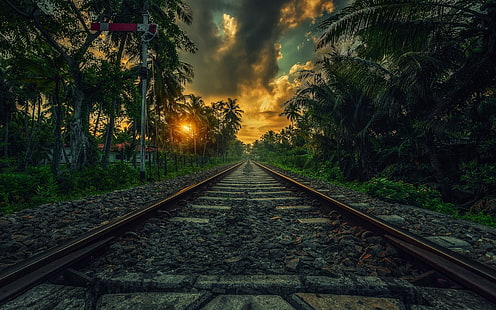 tåg järnväg tapet, natur, landskap, järnväg, solnedgång, palmer, moln, buskar, Sri Lanka, tropisk, HD tapet HD wallpaper