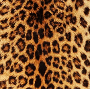 Leopardo, pelliccia marrone e tessuto leopardo nero, Aero, Fantasie, pelliccia di leopardo, Sfondo HD HD wallpaper