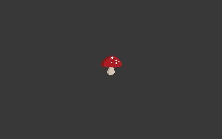 minimalism, food, mushroom, HD wallpaper