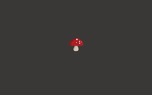 minimalism, food, mushroom, HD wallpaper HD wallpaper