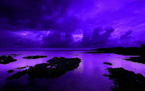 Фиолетовая ночь, фиолетовый, фиолетовый, экстрим, красота, 3d и абстрактные, HD обои HD wallpaper