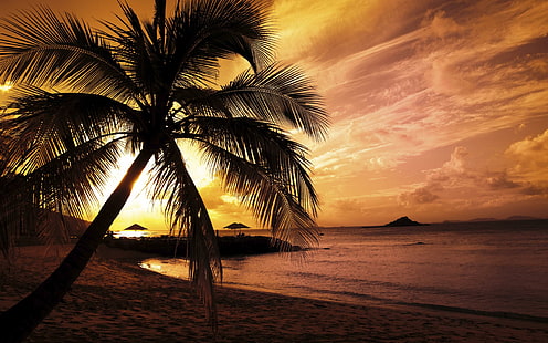 Summer Beach Широк, плажове, плаж, лято, широк, HD тапет HD wallpaper