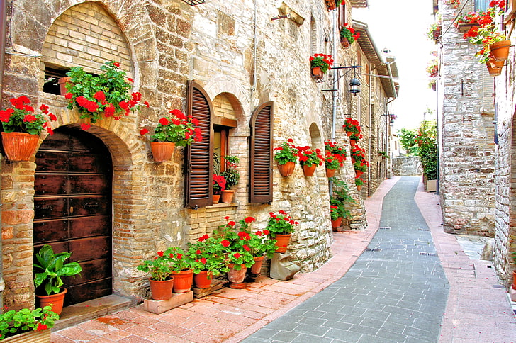 bunga petaled merah dan banyak pot tanaman coklat, bunga, rumah, Italia, merah, pot, jalan, geranium, Wallpaper HD