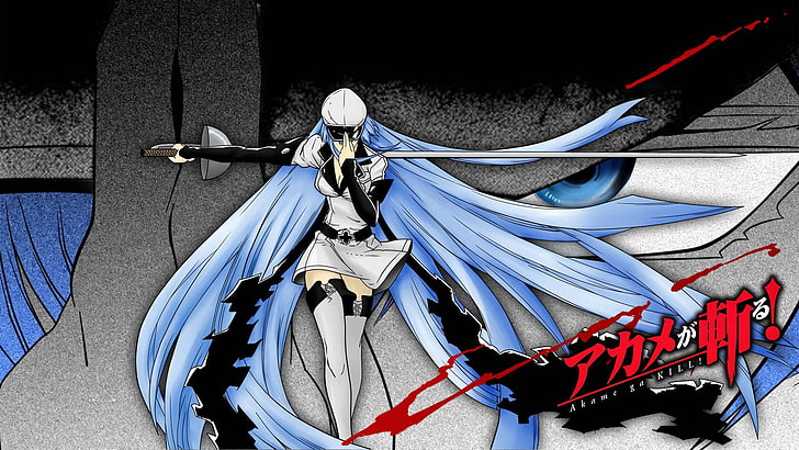 Esdeath, Akame ga Kill !, animeflickor, blått hår, blå ögon, HD tapet