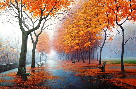 оранжеви листни дървета живопис, есен, природа, парк, фигура, картина, изкуство, рисунки, картини, HD тапет HD wallpaper