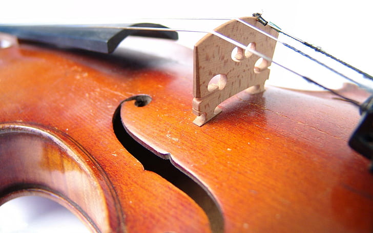 Цигулка HD, кафява дървена цигулка, музика, цигулка, HD тапет