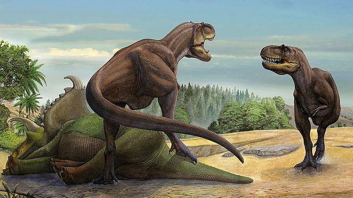 ไดโนเสาร์, Tyrannosaurus, สัตว์ป่า, สัตว์บก, การสูญพันธุ์, Tyrannosaurus rex, สิ่งมีชีวิต, t-rex, ยุคก่อนประวัติศาสตร์, จิ้งจก, ไดโนเสาร์ theropod, วอลล์เปเปอร์ HD